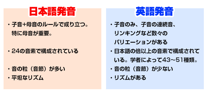 日本語と英語の「発音」の違いも出てきます